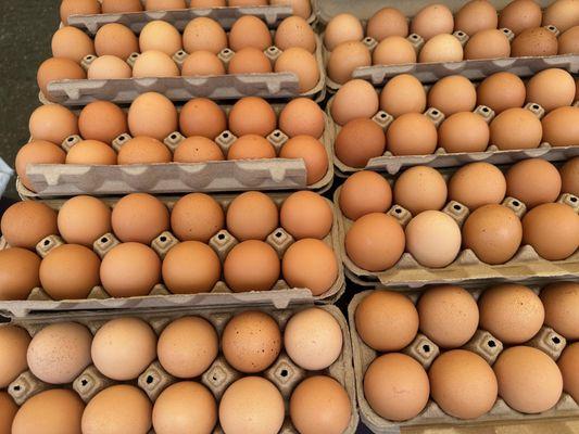 Melrose Place Farmer's Market