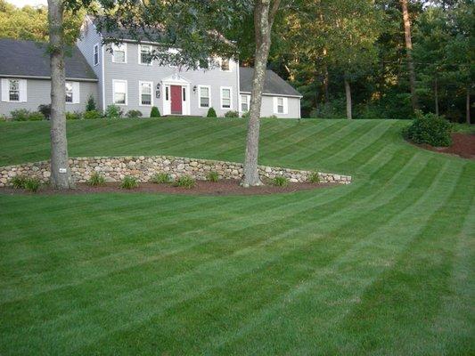 Five Star Landscaping & Tree Service