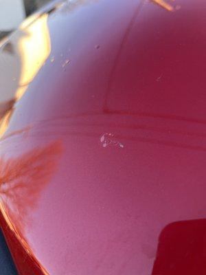 Swartz Ultimate Collision Repair Winfield