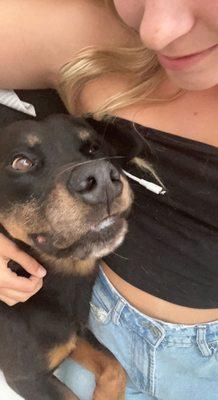 Kenzie’s Animal and Baby Sitting