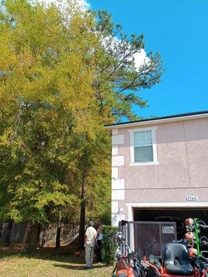 Huggins Lawn & Tree service