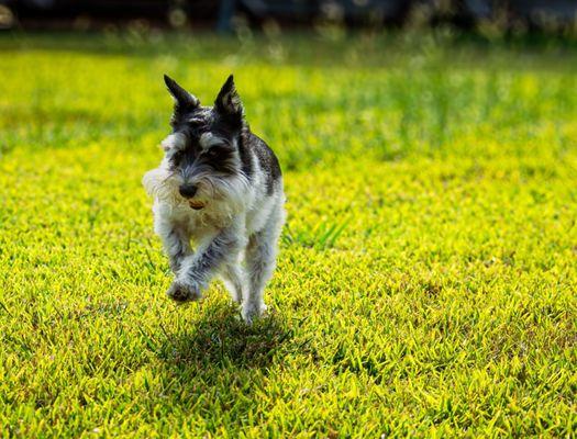 Post spa...Hank Tuttle.