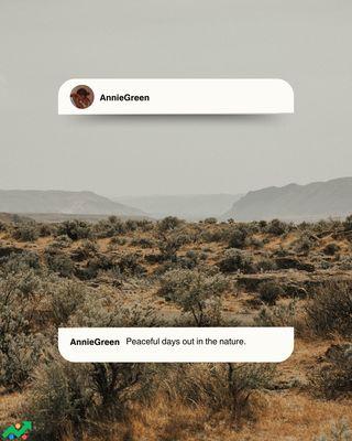 Momentum Marketing & Website Design