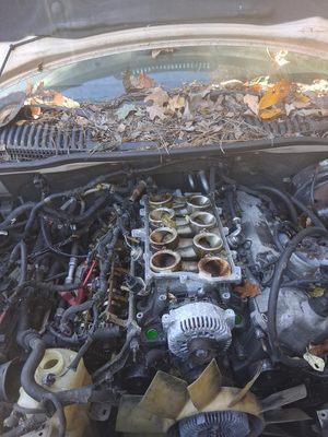 Georgeegnorjr22@gmail.com