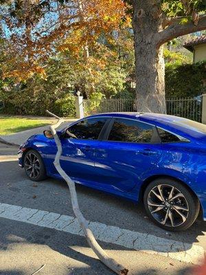 Santa Monica Collision Center