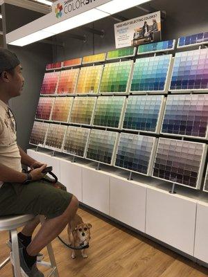 Sherwin-Williams Paint Store