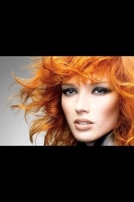 Alexis Renee Paul Mitchell focus Salon