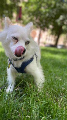 Little Monsters Adventure Pack