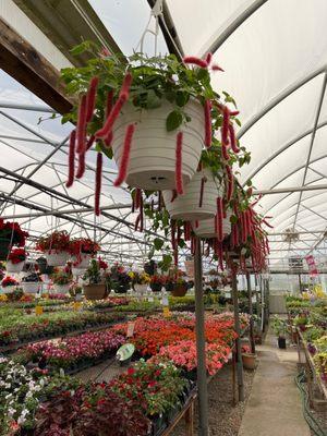 Plant Masters of Suttons Bay