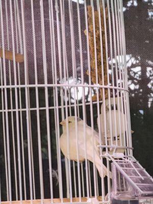 Aquatic Zoo Tropical Fish