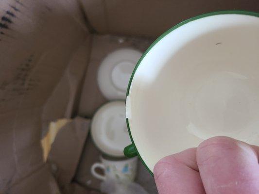 Green Planet Movers and all of the damage they caused; stay far away.