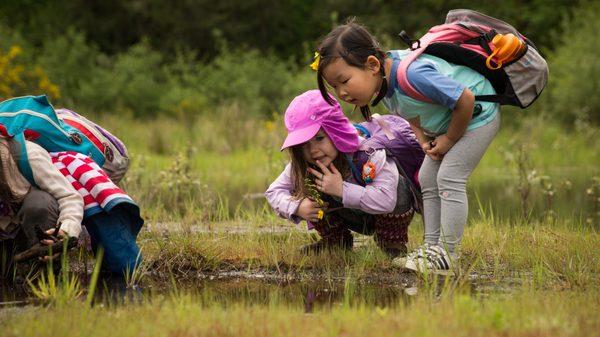 Trackers Earth Bay Area