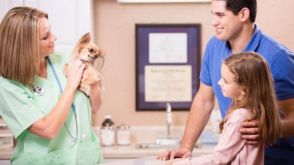 Estero Animal Hospital