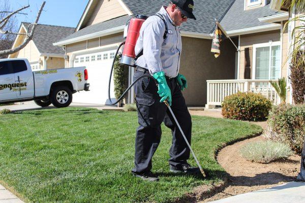 Conquest Pest Control