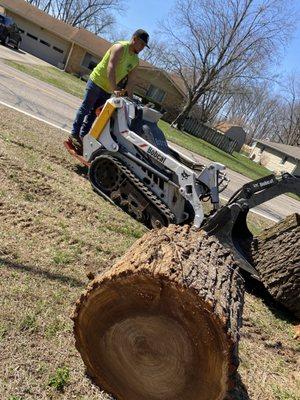 Sandoval Tree Service