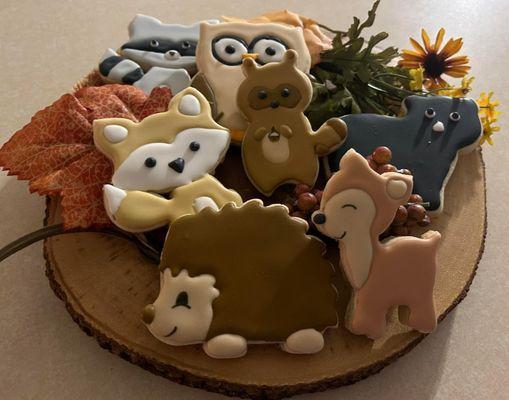 Sonya's Photo Expressions