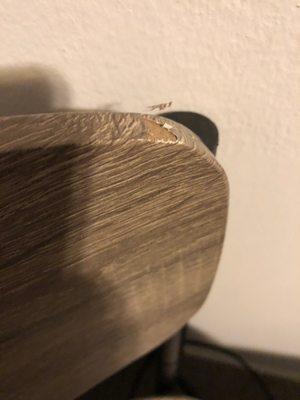 My Dinning chair scratched from trinity service