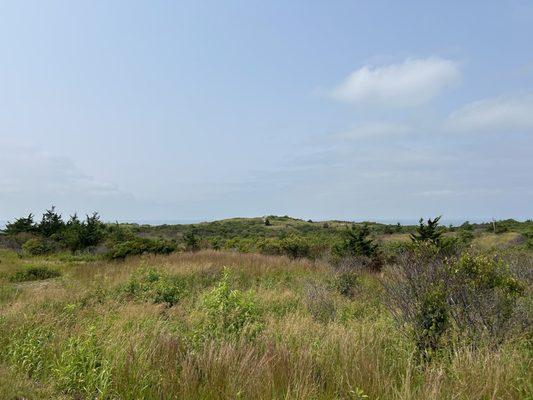 Scenery along the path