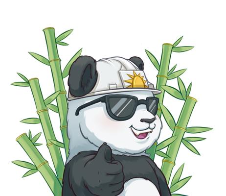 Panda Solar