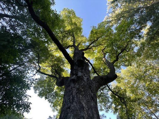 Pete's Retreat Family Campground & Rv Park