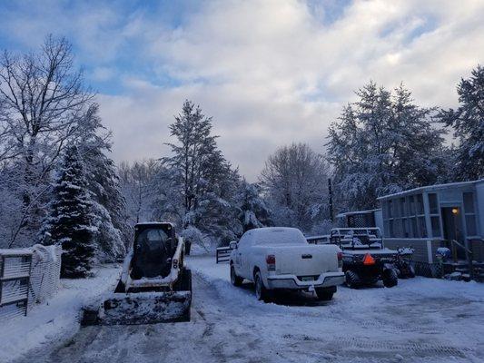 Roman Empire Tree Service