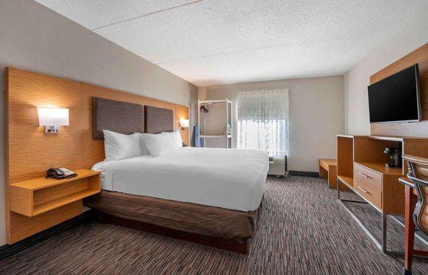 Studio Suite - 1 King Bed