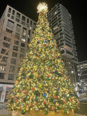 Dominate Ignite Marketing