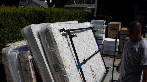 Go Green Restoration