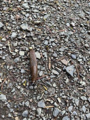 Gordy Jolma Family Natural Area