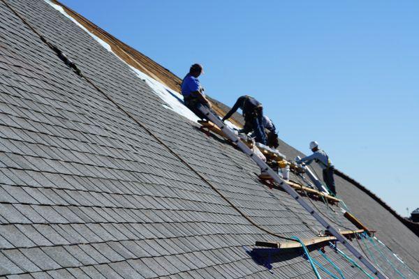 Roofing Ozone Park