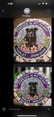 Their cartoon and my dogs original picture.