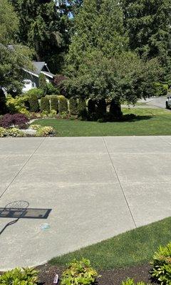 Landscaping and driveway cleaning