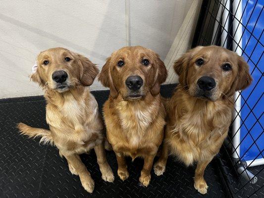 Triplets hanging out for daycare