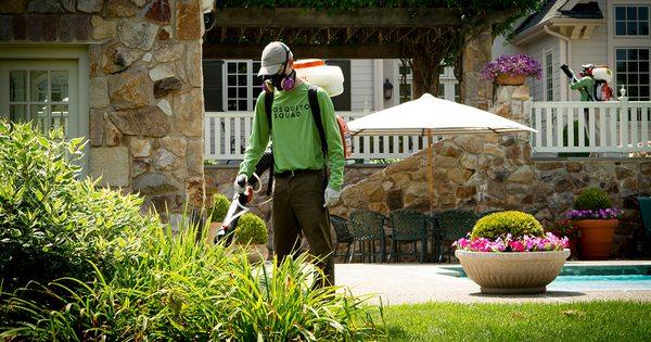 Mosquito Squad of North Central Florida