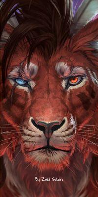 Championship Martial Arts