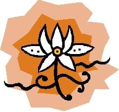 Joanne Renna Acupuncture