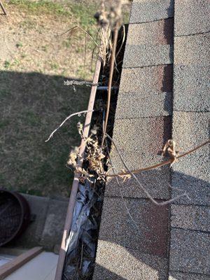 Tesoro Pristine Property Cleaning