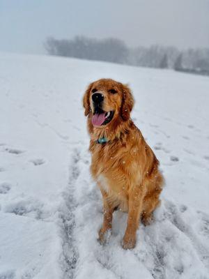 Winter at the park! We enjoy all 4 seasons here!