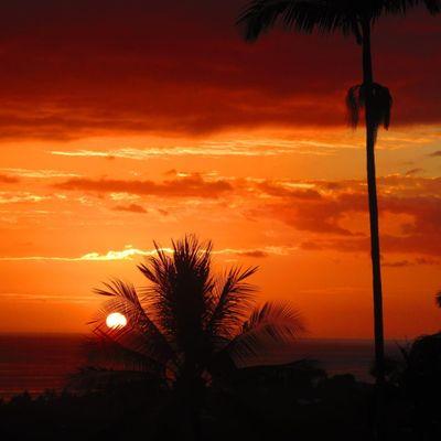 Michaela Larson - eXp Realty