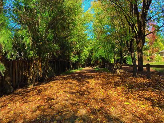 Diablo Foothills Regional Park