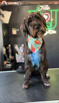 The L&J Grooming Company