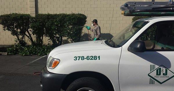 D & J Pest Control