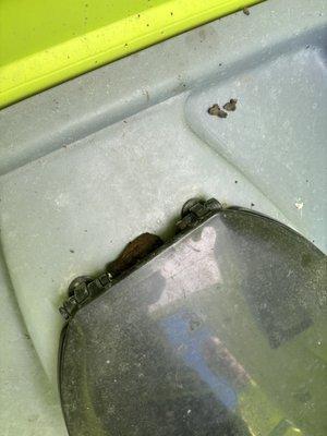 Pasco County Recycling Center