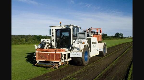 Shattuck Turf Farms