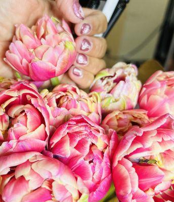 Love tulip to match with my nails.!