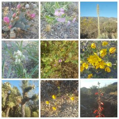 Thanksgiving Korean Church Prayer Retreat Center