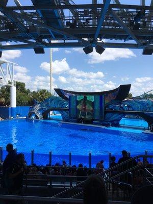 Shamu Stadium