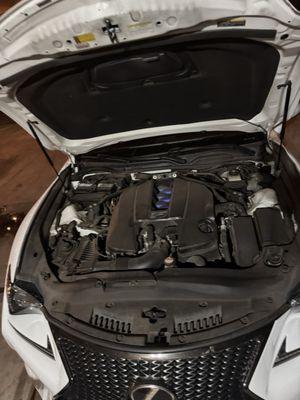 Pure Precision Detailing