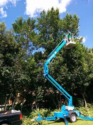 Onpoint Lawn and Tree Service