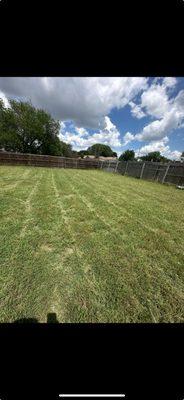 Blue Collar Value Services